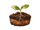Soil: